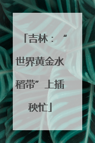 吉林：“世界黄金水稻带”上插秧忙