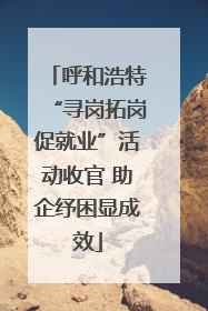 呼和浩特“寻岗拓岗促就业”活动收官 助企纾困显成效