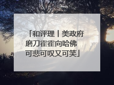 和评理丨美政府磨刀霍霍向哈佛 可悲可叹又可笑