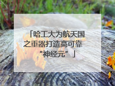 哈工大为航天国之重器打造高可靠“神经元”