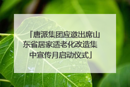 唐派集团应邀出席山东省居家适老化改造集中宣传月启动仪式