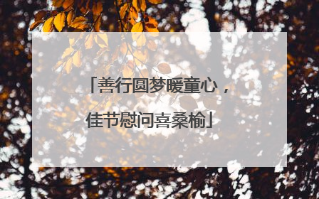 善行圆梦暖童心，佳节慰问喜桑榆