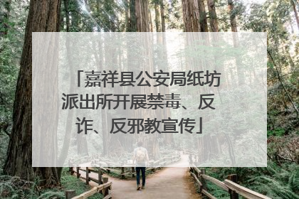 嘉祥县公安局纸坊派出所开展禁毒、反诈、反邪教宣传
