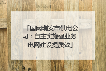 国网瑞安市供电公司：自主实施强业务 电网建设提质效
