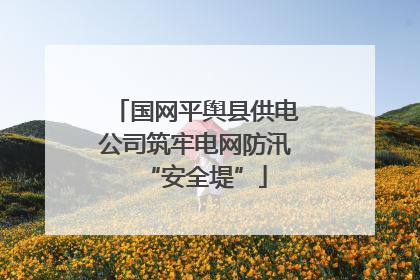 国网平舆县供电公司筑牢电网防汛“安全堤”