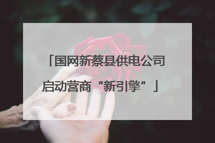 国网新蔡县供电公司启动营商“新引擎”