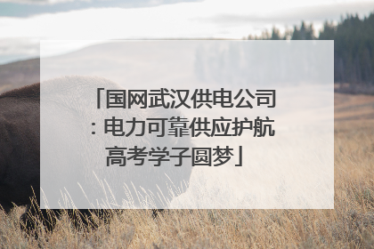 国网武汉供电公司：电力可靠供应护航高考学子圆梦