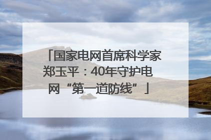 国家电网首席科学家郑玉平：40年守护电网“第一道防线”