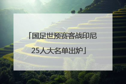 国足世预赛客战印尼25人大名单出炉