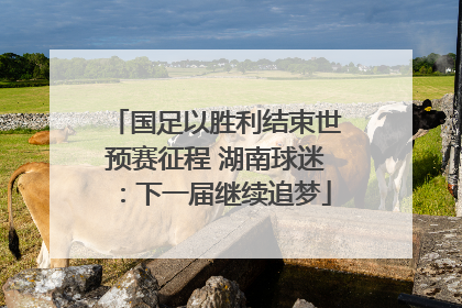 国足以胜利结束世预赛征程 湖南球迷：下一届继续追梦
