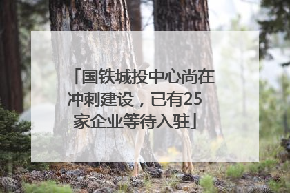 国铁城投中心尚在冲刺建设，已有25家企业等待入驻