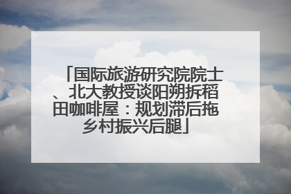 国际旅游研究院院士、北大教授谈阳朔拆稻田咖啡屋：规划滞后拖乡村振兴后腿