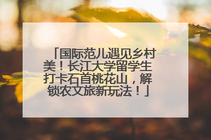 国际范儿遇见乡村美！长江大学留学生打卡石首桃花山，解锁农文旅新玩法！