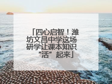 四心启智！潍坊文昌中学这场研学让课本知识“活”起来