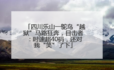 四川乐山一鸵鸟“越狱”马路狂奔，目击者：时速超40码，还对我“笑”了下
