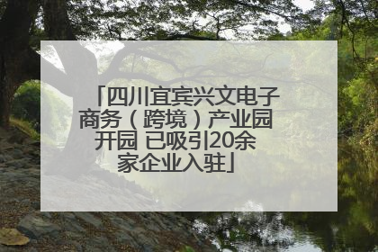 四川宜宾兴文电子商务（跨境）产业园开园 已吸引20余家企业入驻