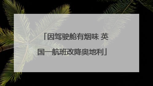因驾驶舱有烟味 英国一航班改降奥地利