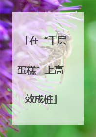 在“千层蛋糕”上高效成桩