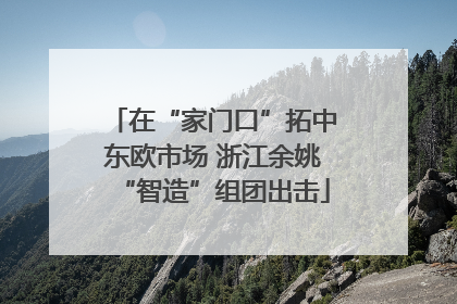 在“家门口”拓中东欧市场 浙江余姚“智造”组团出击