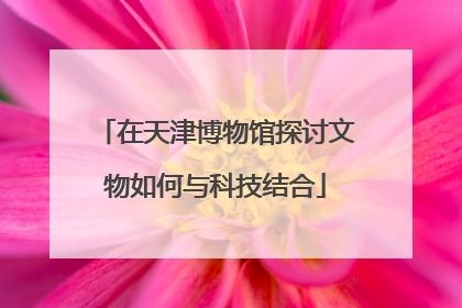 在天津博物馆探讨文物如何与科技结合