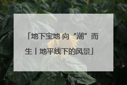 地下宝地 向“潮”而生丨地平线下的风景