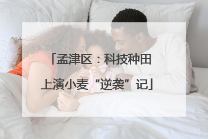 孟津区：科技种田 上演小麦“逆袭”记