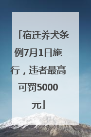 宿迁养犬条例7月1日施行，违者最高可罚5000元