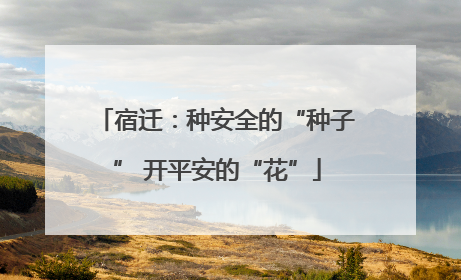 宿迁：种安全的“种子” 开平安的“花”