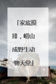 家底摸排，崂山成野生动物天堂