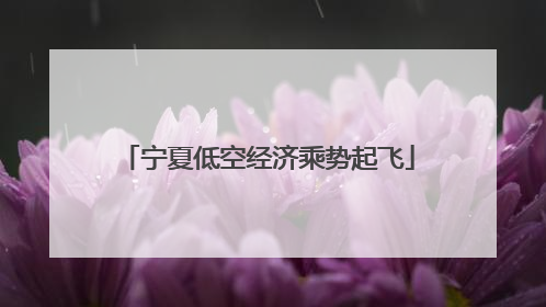宁夏低空经济乘势起飞