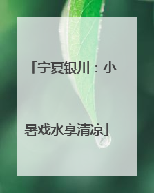 宁夏银川：小暑戏水享清凉
