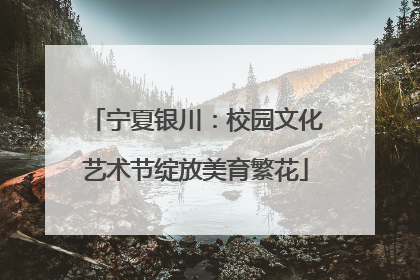 宁夏银川：校园文化艺术节绽放美育繁花