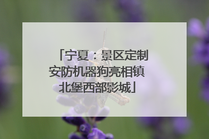 宁夏：景区定制安防机器狗亮相镇北堡西部影城
