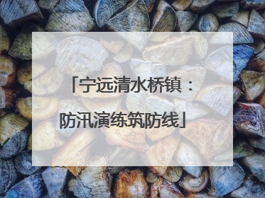 宁远清水桥镇：防汛演练筑防线