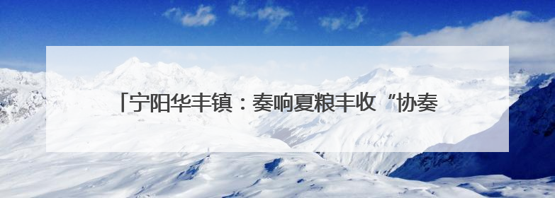 宁阳华丰镇：奏响夏粮丰收“协奏曲”，多举措护航“金色粮仓”