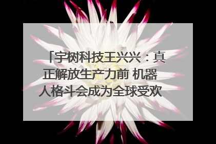宇树科技王兴兴：真正解放生产力前 机器人格斗会成为全球受欢迎的赛事｜科技观察