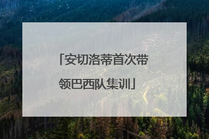安切洛蒂首次带领巴西队集训