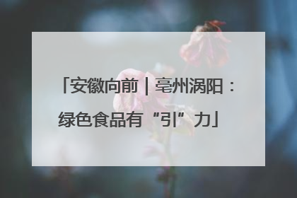 安徽向前｜亳州涡阳：绿色食品有“引”力