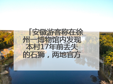 安徽游客称在徐州一博物馆内发现本村17年前丢失的石狮，两地官方最新回应