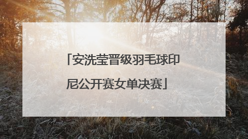 安洗莹晋级羽毛球印尼公开赛女单决赛