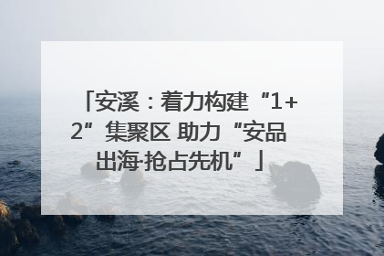安溪：着力构建“1+2”集聚区 助力“安品出海·抢占先机”