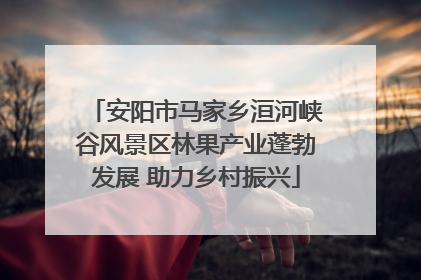 安阳市马家乡洹河峡谷风景区林果产业蓬勃发展 助力乡村振兴