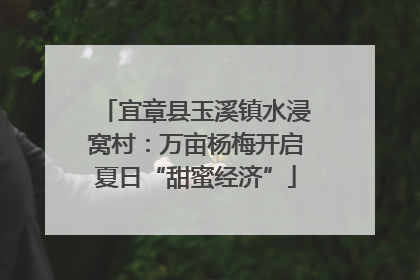 宜章县玉溪镇水浸窝村：万亩杨梅开启夏日“甜蜜经济”