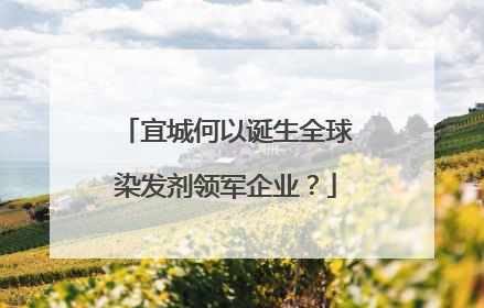 宜城何以诞生全球染发剂领军企业？