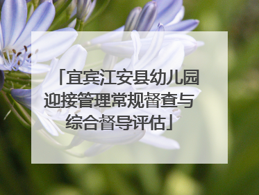 宜宾江安县幼儿园迎接管理常规督查与综合督导评估