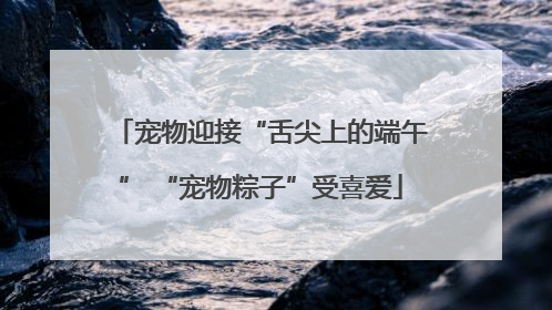 宠物迎接“舌尖上的端午” “宠物粽子”受喜爱