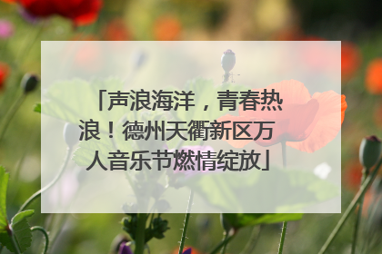 声浪海洋，青春热浪！德州天衢新区万人音乐节燃情绽放