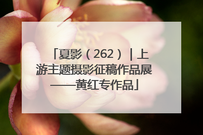 夏影（262）｜上游主题摄影征稿作品展——黄红专作品