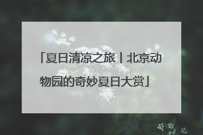 夏日清凉之旅丨北京动物园的奇妙夏日大赏