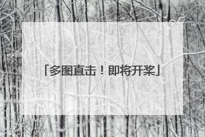 多图直击！即将开桨